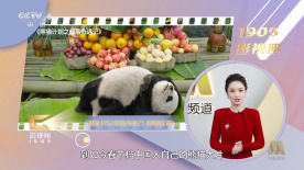 亚洲一区在线免费